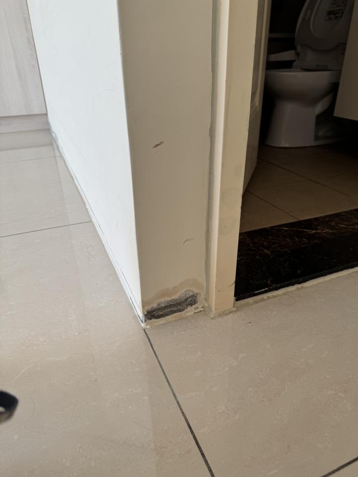 壁癌處理案件圖片