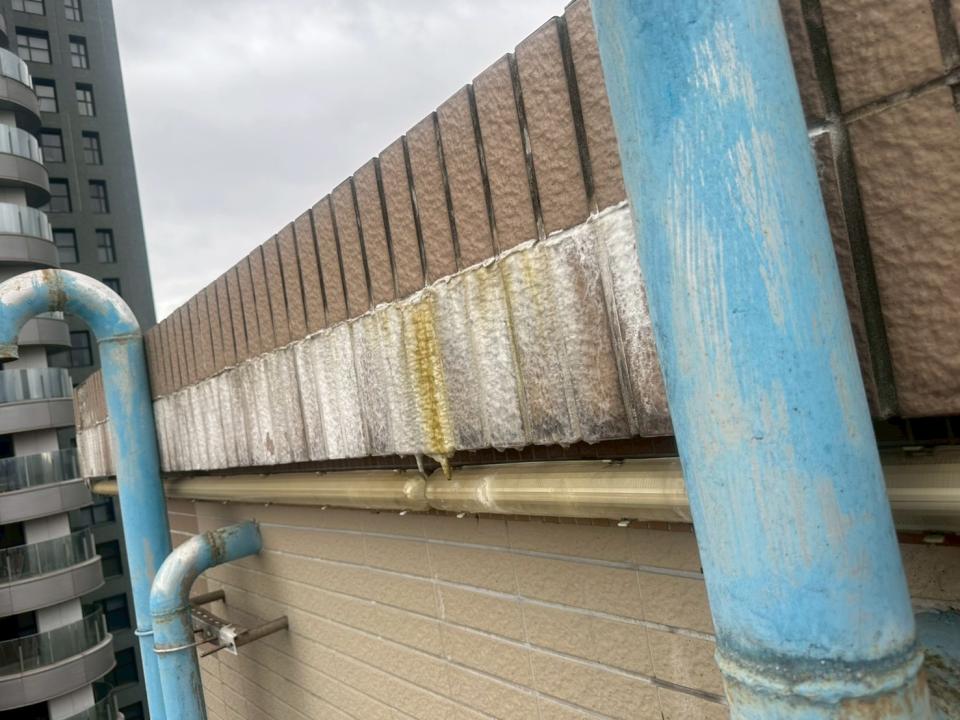 屋頂防水案件圖片