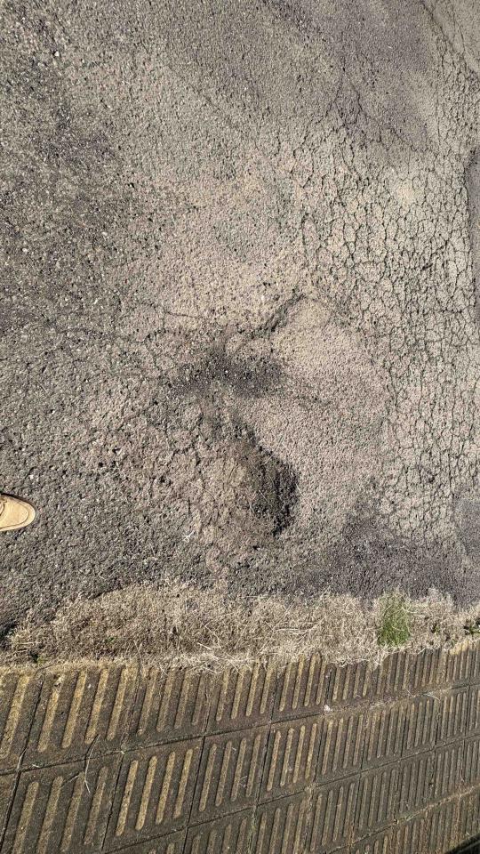 瀝青工程案件圖片