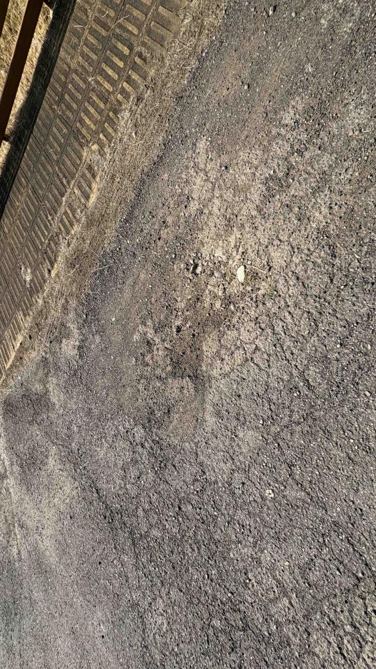 瀝青工程案件圖片