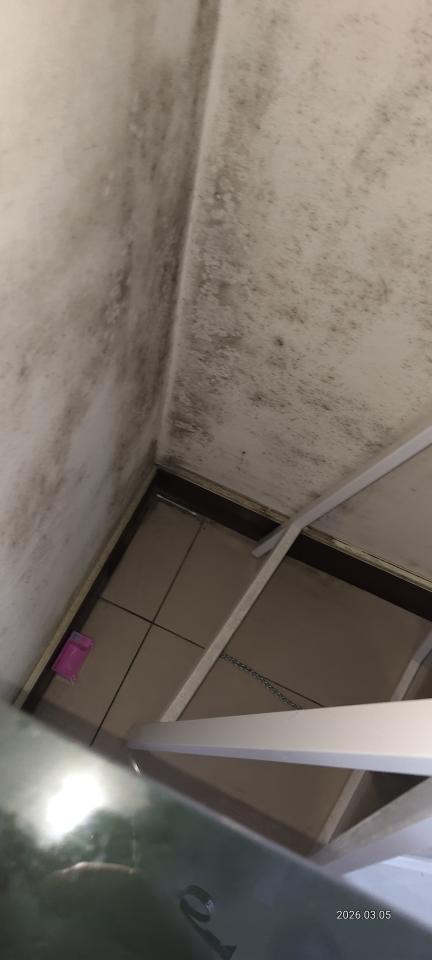 油漆工程案件圖片