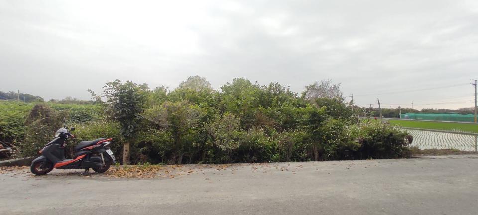 園藝維護案件圖片