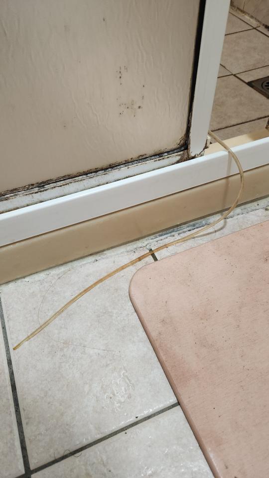 淋浴拉門安裝維修案件圖片