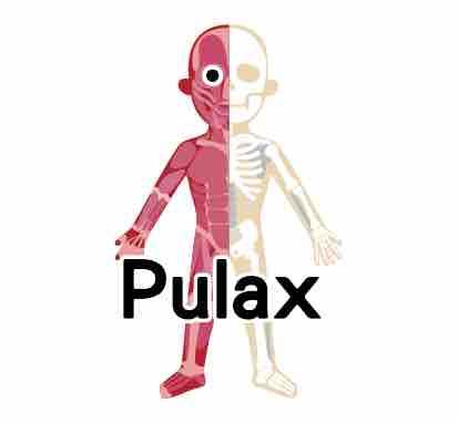 提供電子琴61鍵服務的專家王苡璇