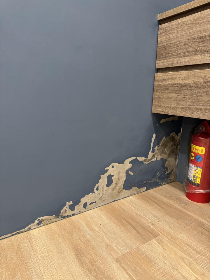 壁癌處理案件圖片