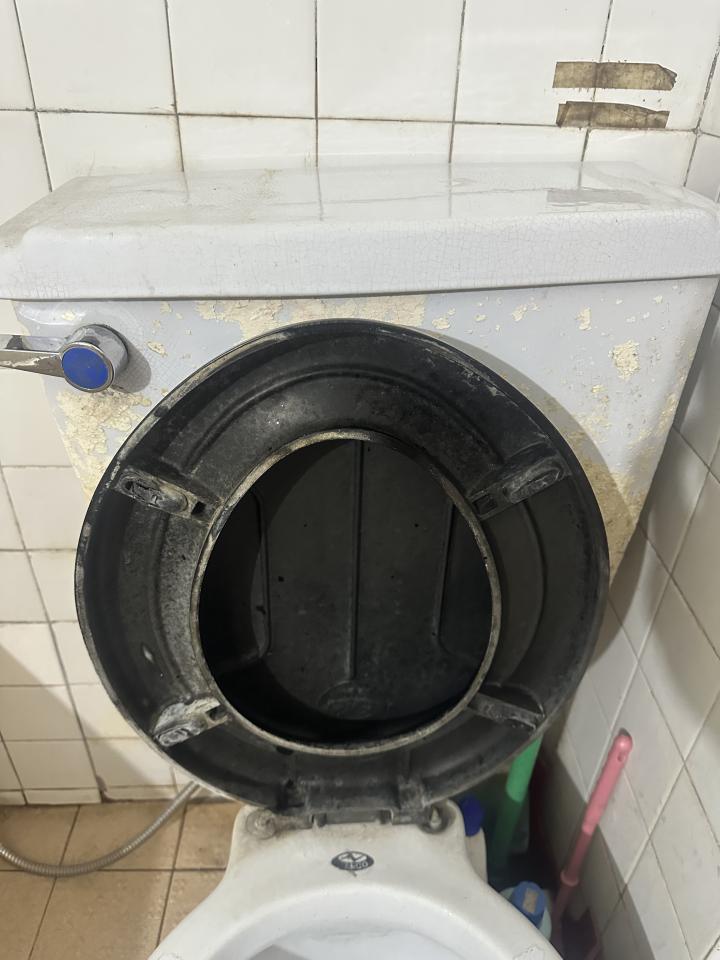 馬桶裝修案件圖片