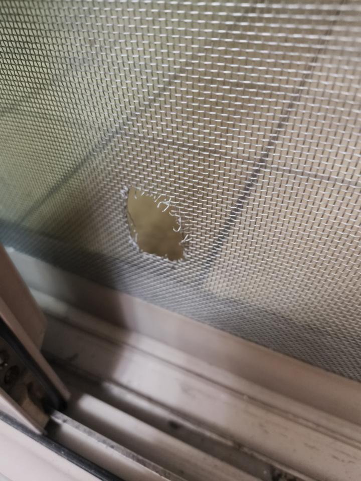 紗窗裝修案件圖片