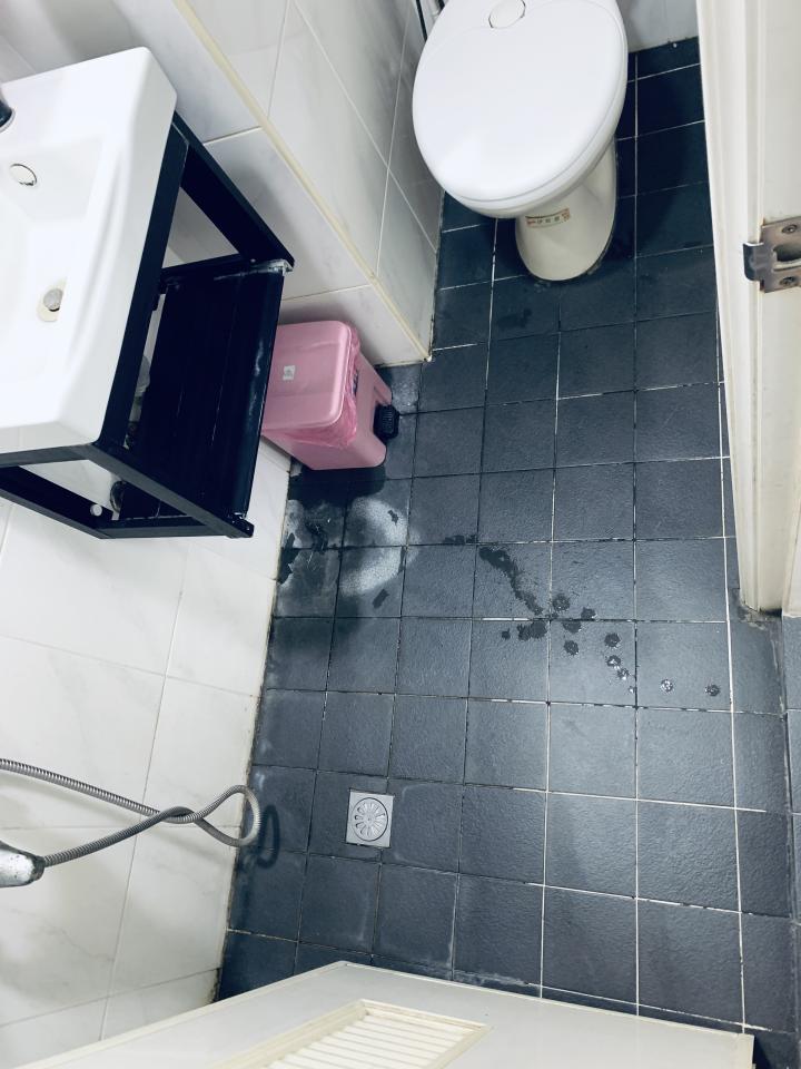 浴室翻新案件圖片