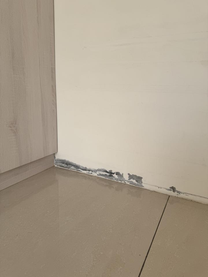 壁癌處理案件圖片