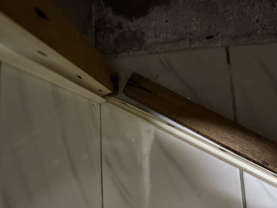 浴室翻新案件圖片