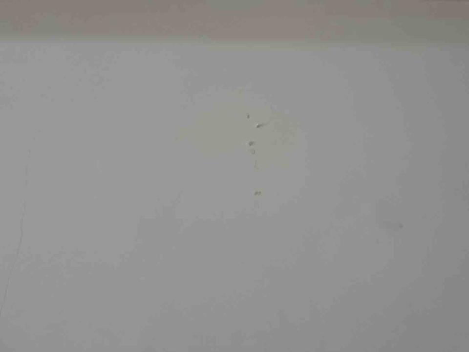 油漆工程案件圖片