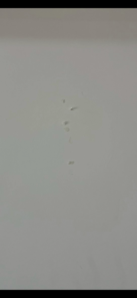 油漆工程案件圖片