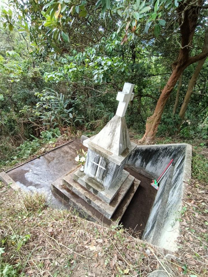 園藝維護案件圖片