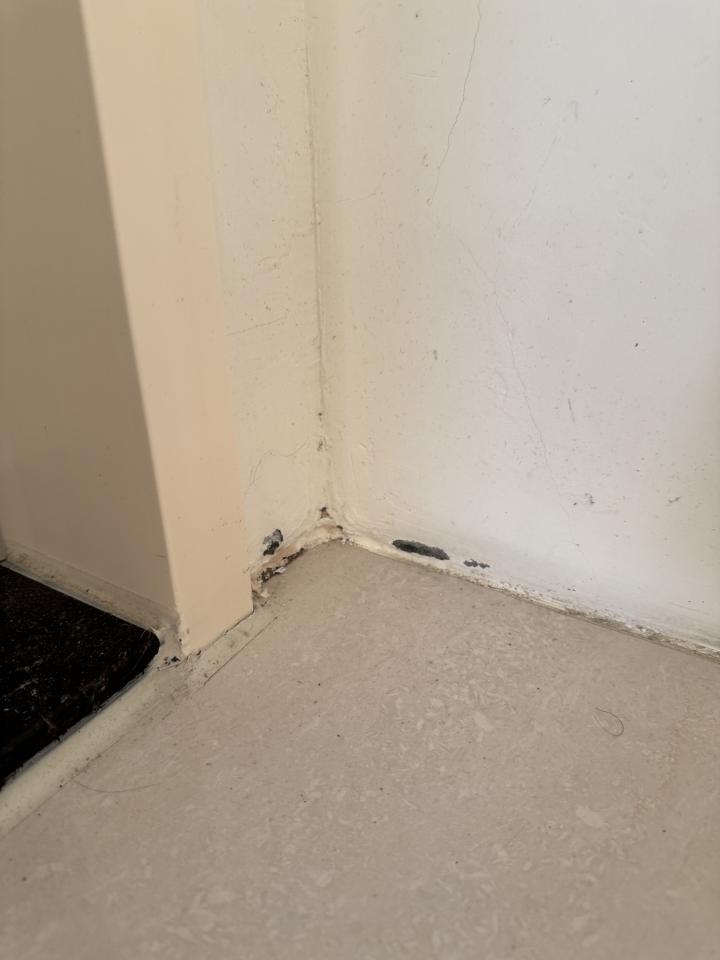 壁癌處理案件圖片