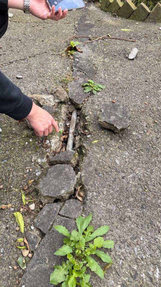 水電行案件圖片