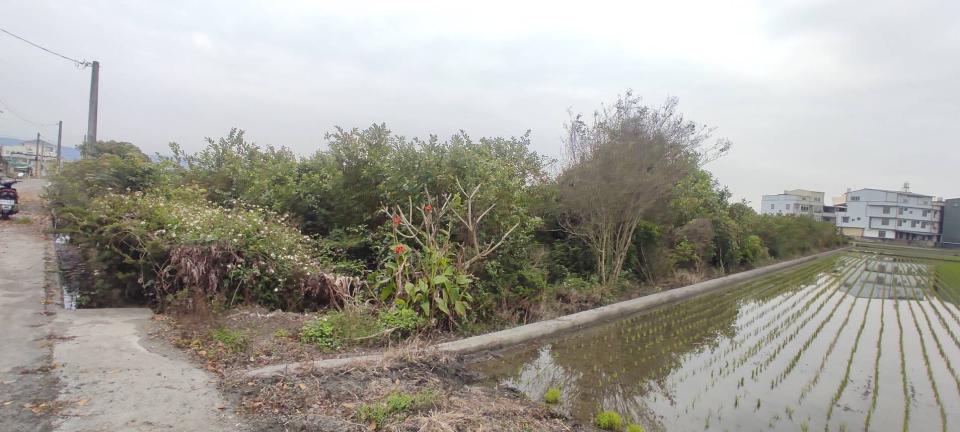 園藝設計案件圖片