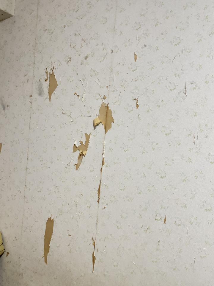 油漆工程案件圖片