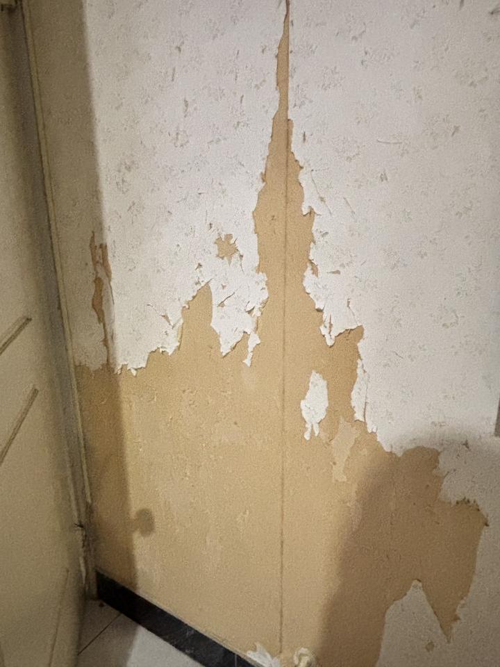 油漆工程案件圖片