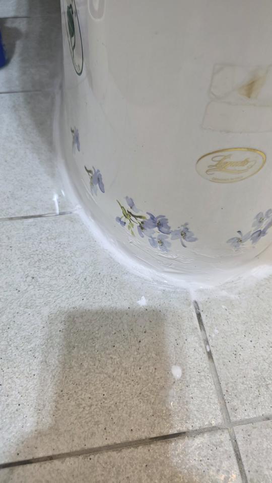 馬桶裝修案件圖片