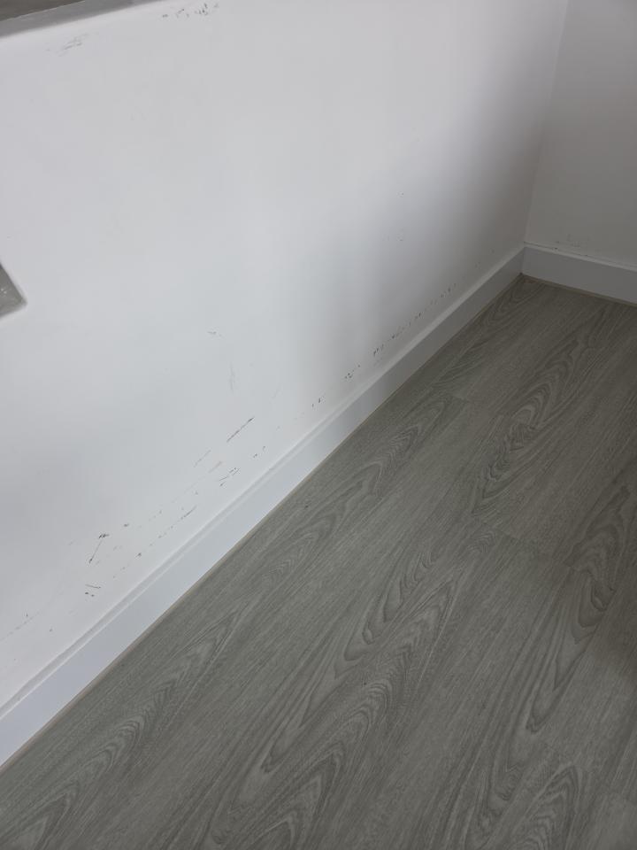 油漆工程案件圖片