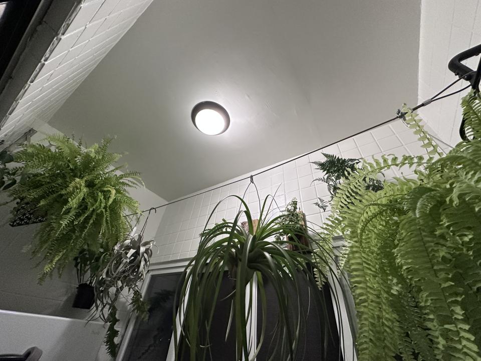 電線裝修案件圖片