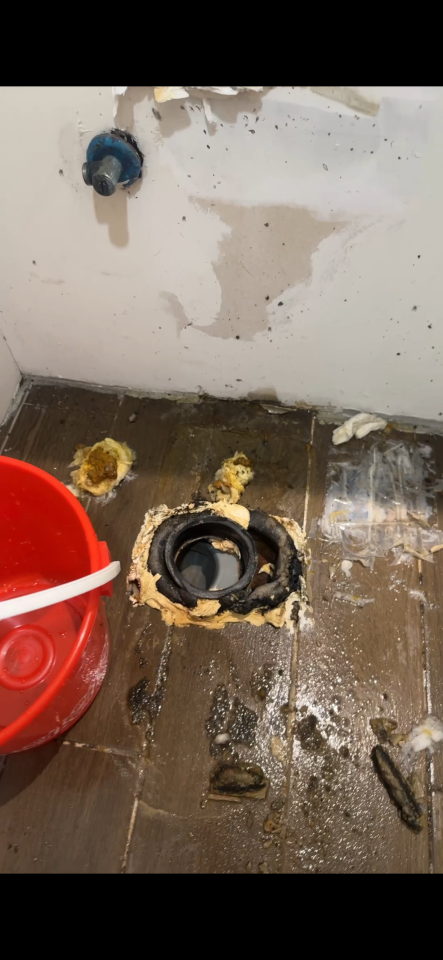 馬桶裝修案件圖片