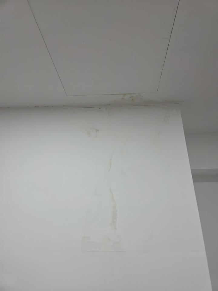 油漆工程案件圖片