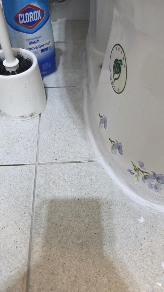 馬桶裝修案件圖片