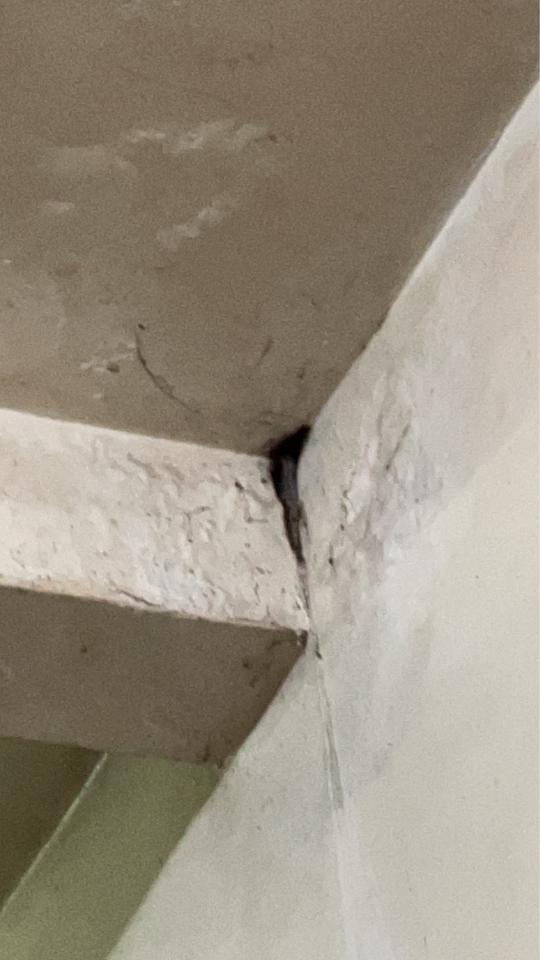 油漆工程案件圖片