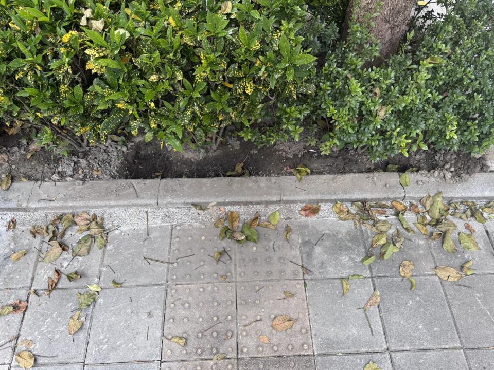 泥作/水泥施工案件圖片