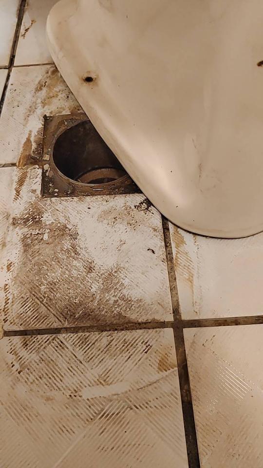 馬桶裝修案件圖片