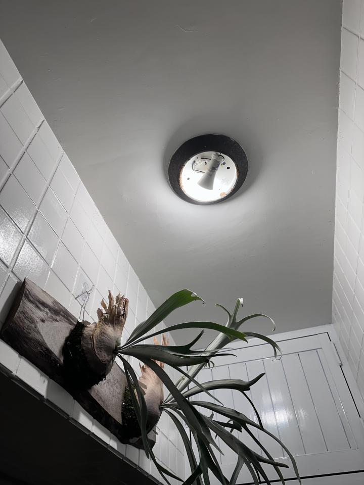 電線裝修案件圖片