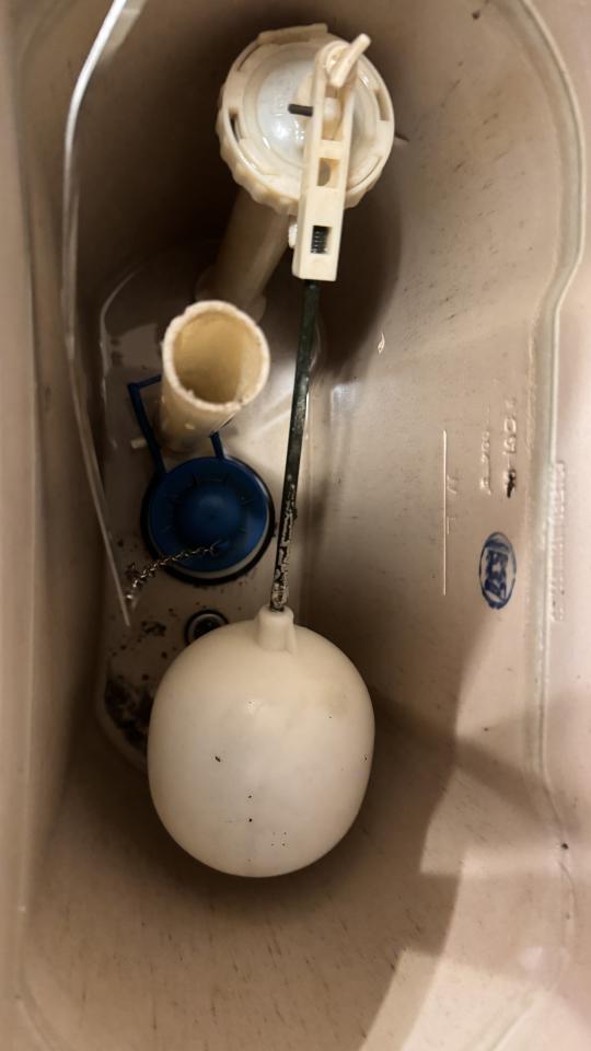 馬桶裝修案件圖片