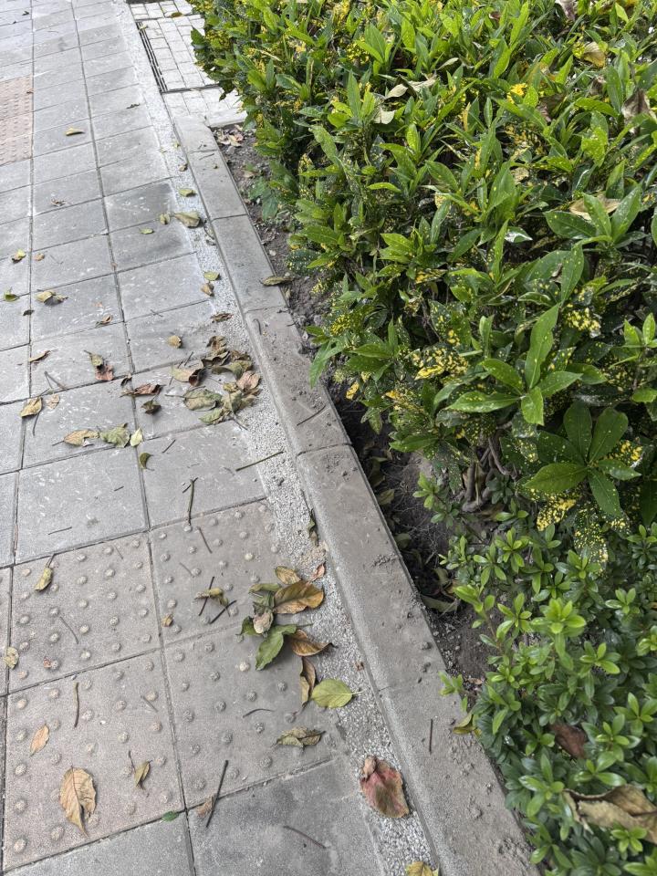 泥作/水泥施工案件圖片