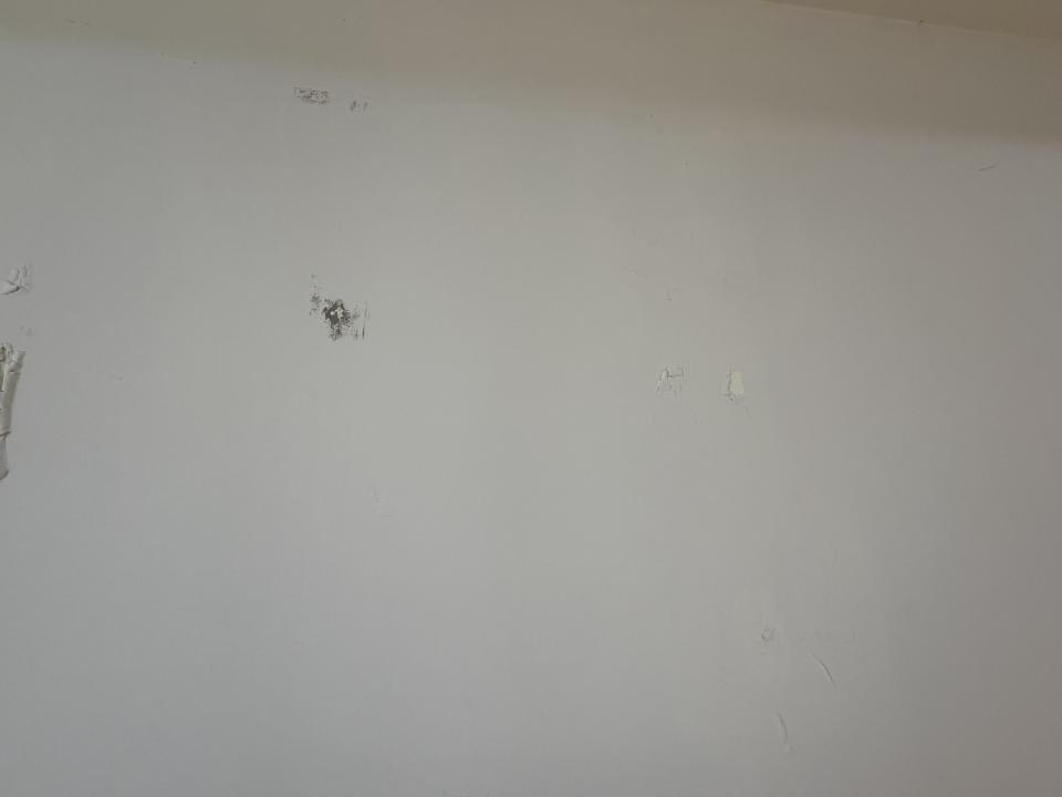 油漆工程案件圖片