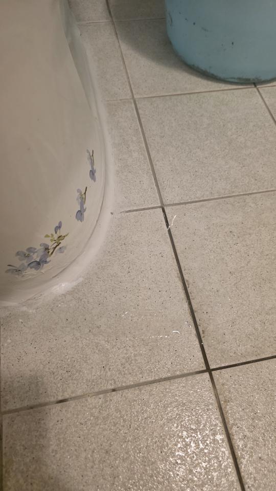 馬桶裝修案件圖片