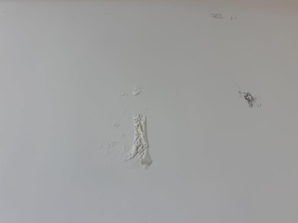 油漆工程案件圖片