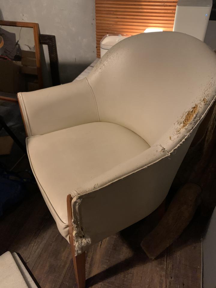 沙發清潔案件圖片