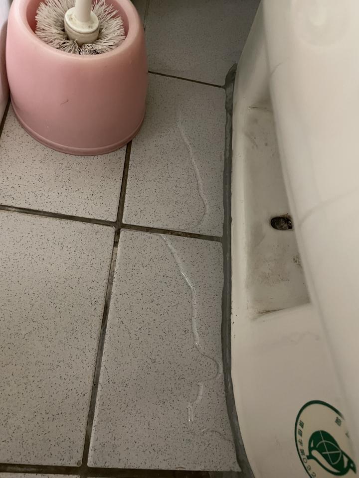 馬桶裝修案件圖片