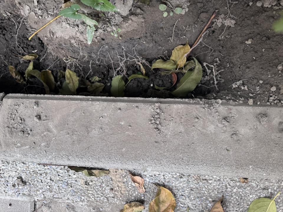 泥作/水泥施工案件圖片