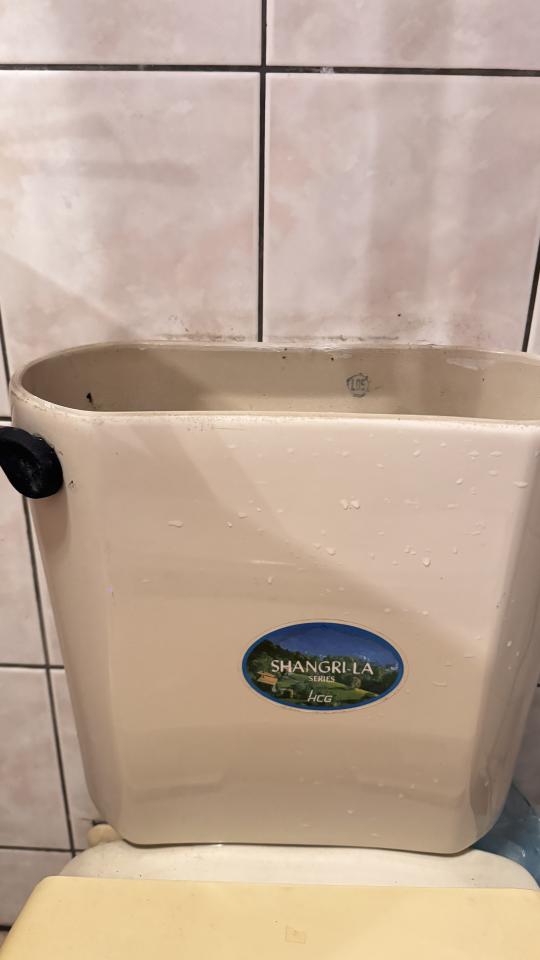 馬桶裝修案件圖片