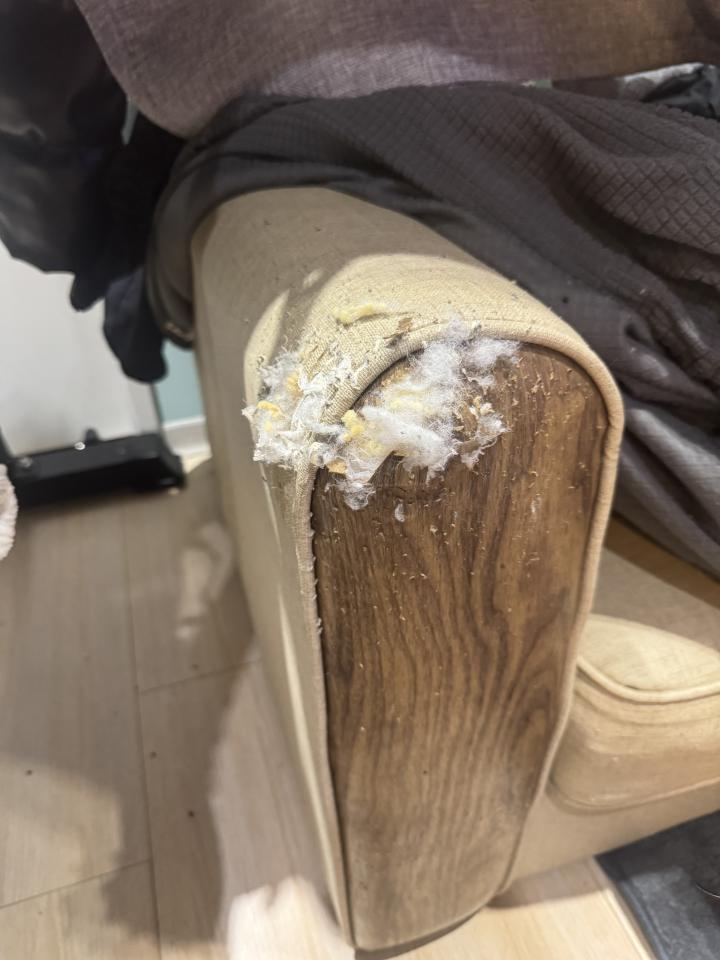 沙發修理案件圖片