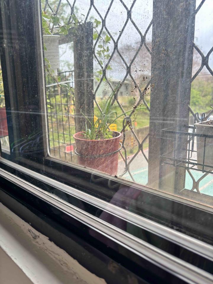 玻璃清潔案件圖片