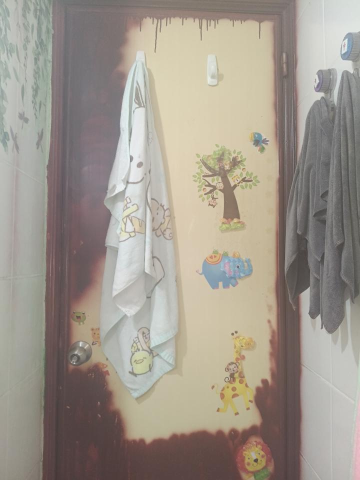 浴室門案件圖片