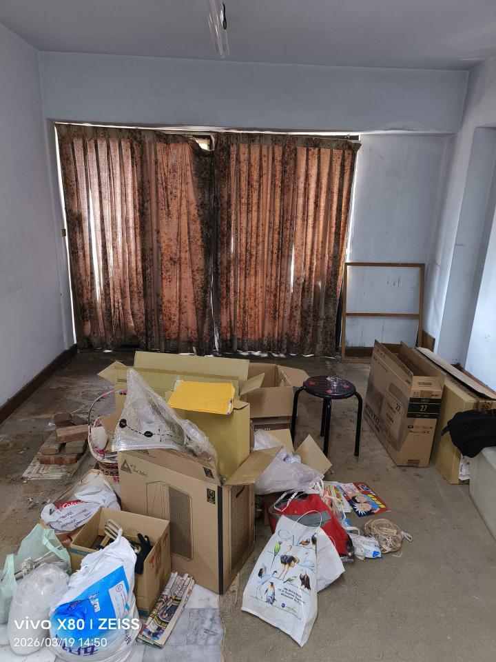 大型垃圾回收案件圖片