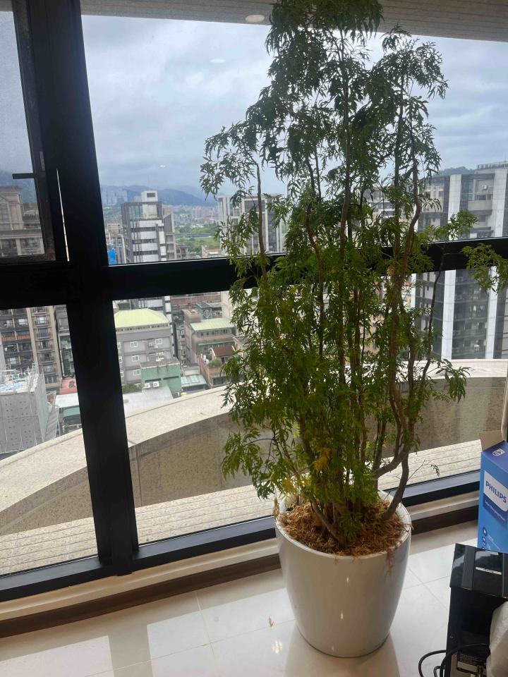 家具搬運案件圖片