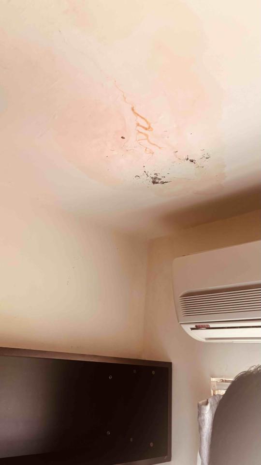 屋頂防水案件圖片