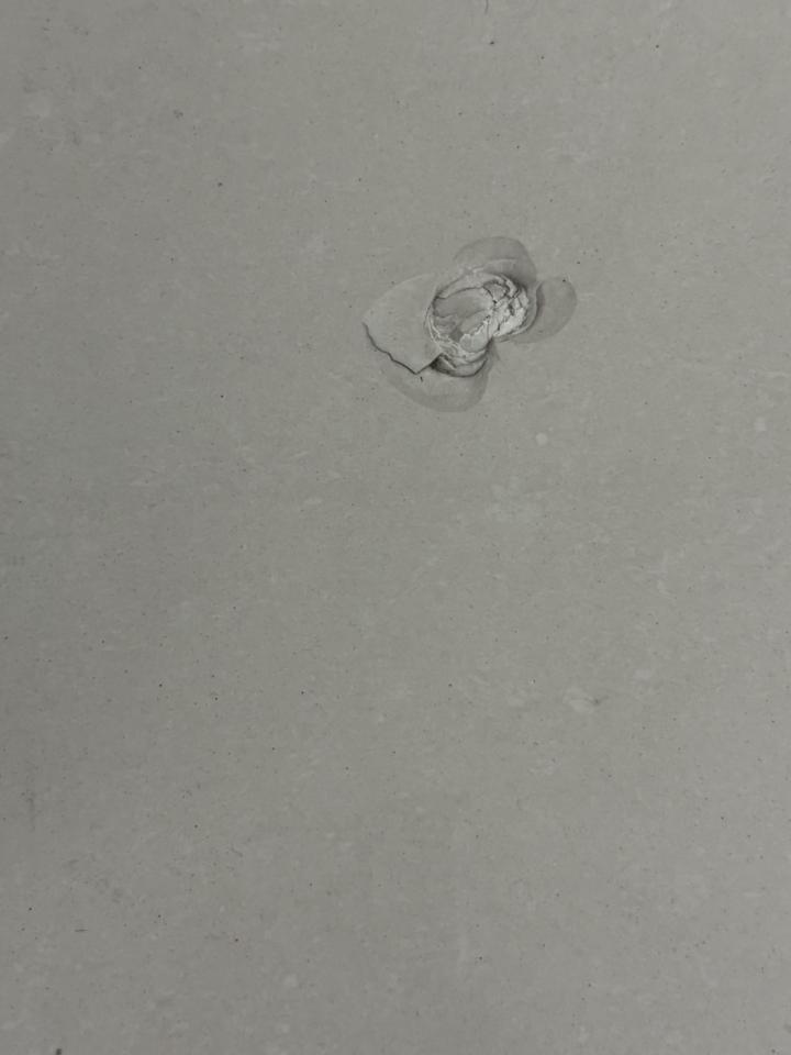 磁磚修補案件圖片