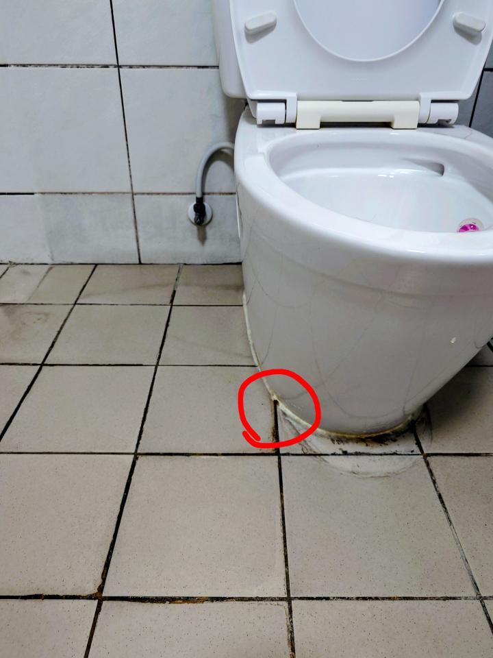 馬桶裝修案件圖片