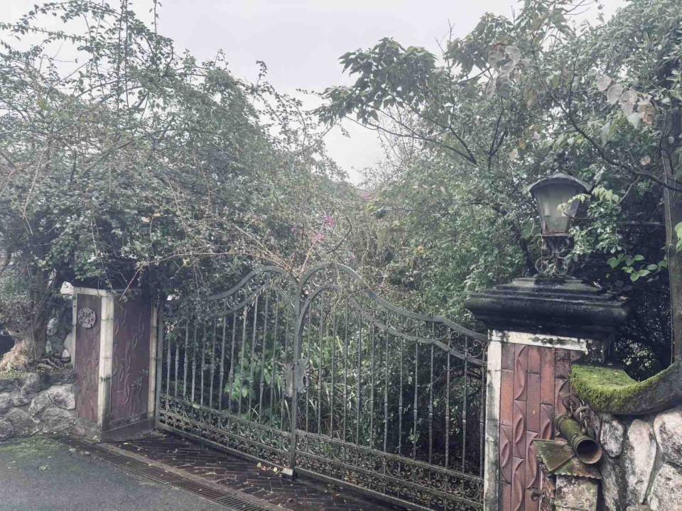 園藝維護案件圖片